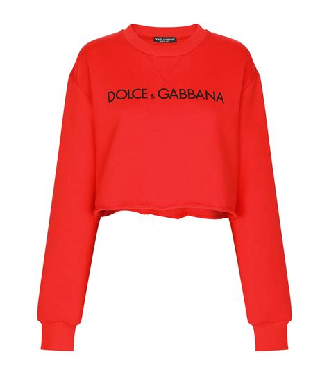 dolce gabbana damen pullover|dolce gabbana sweaters.